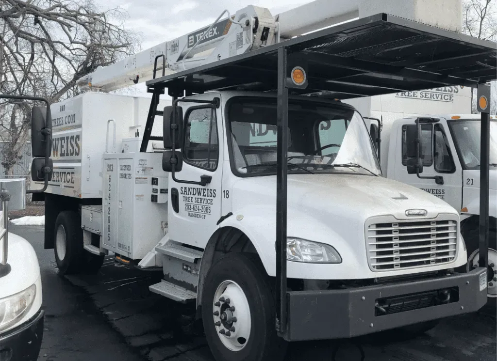 Sandweiss Tree Service, Inc. gallery 2