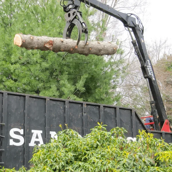 Sandweiss Tree Service, Inc. gallery 4